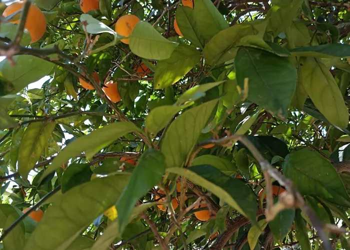 아파트 Seaesta Vasiliki 2 Pondi